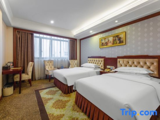 Luxury Twin room with city view