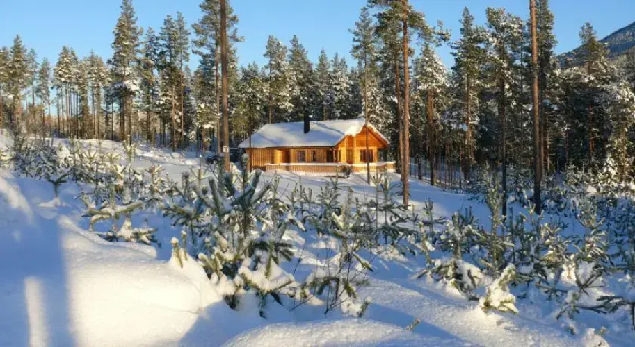Chalet Vradal