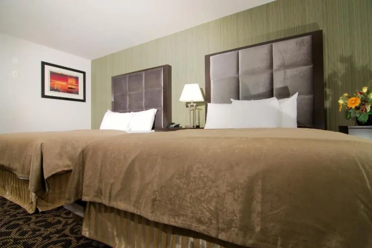 Quadruple Suite