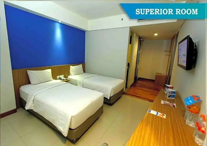 Superior Twin room with view