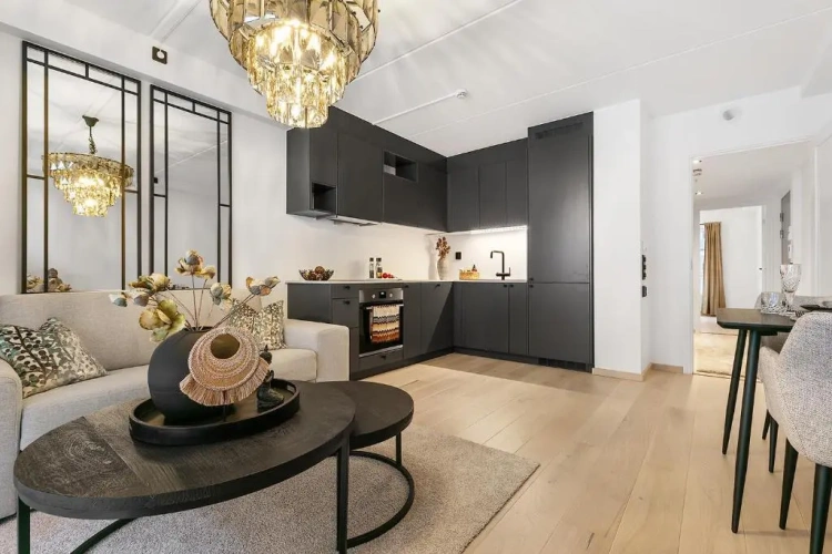 1 Bedroom Apartment