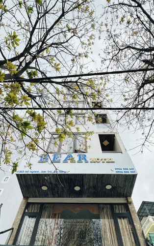 Bear Hotel & Homestay