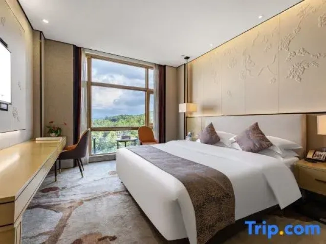 Standard Double room with city view