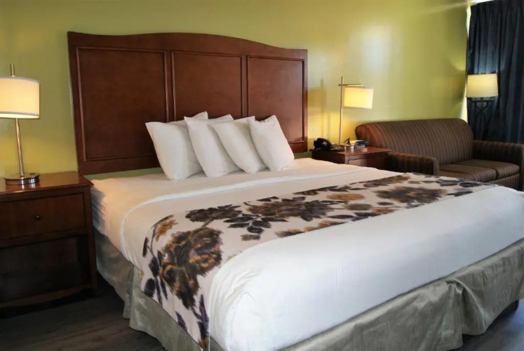 Willow Tree Inn