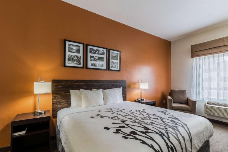 Standard Double room