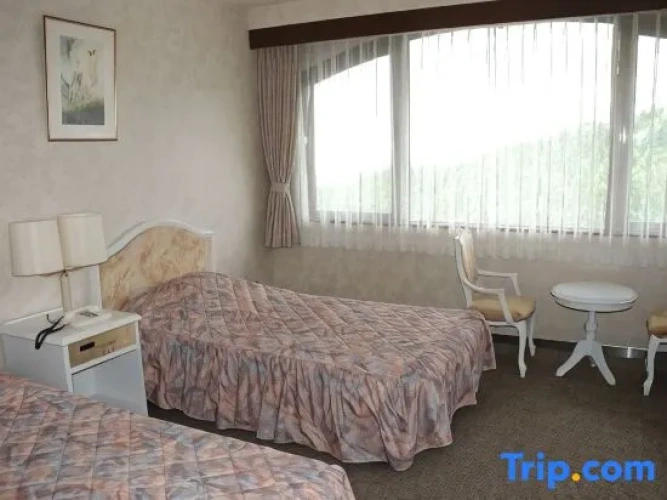 Standard Twin Family room