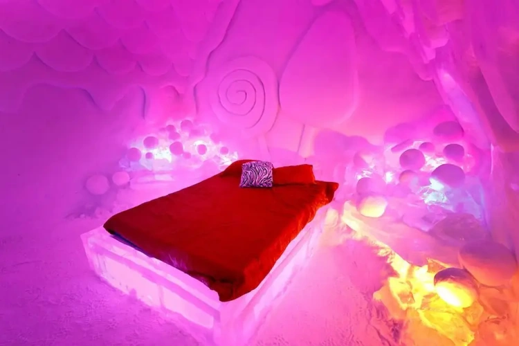 Twin Suite