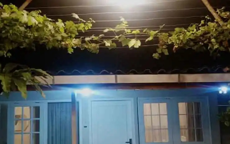 The Bloomy House