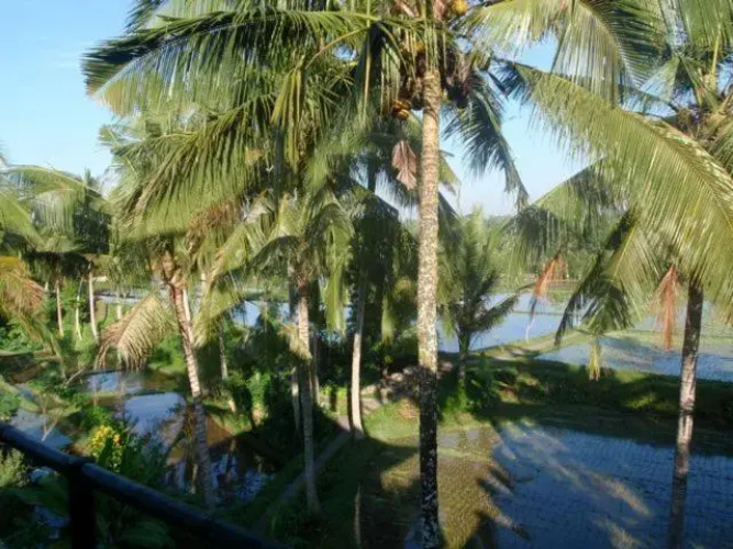 Toko Toko Bungalows