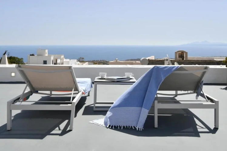 Superior Villa with view