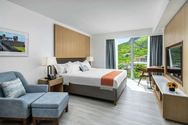 Double room Mountain View