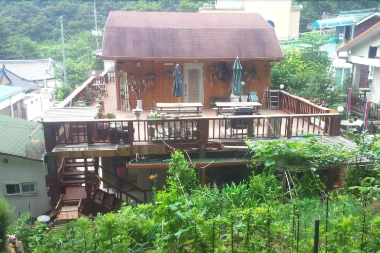 Yangyang 5 Color Anter Pension