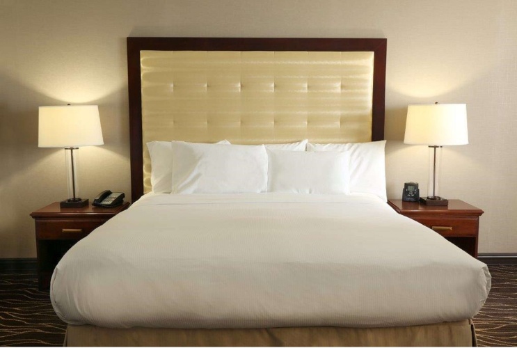 Hilton Kansas City Airport photo 6
