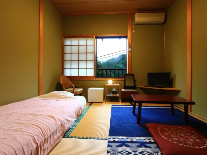 Standard Twin room with view