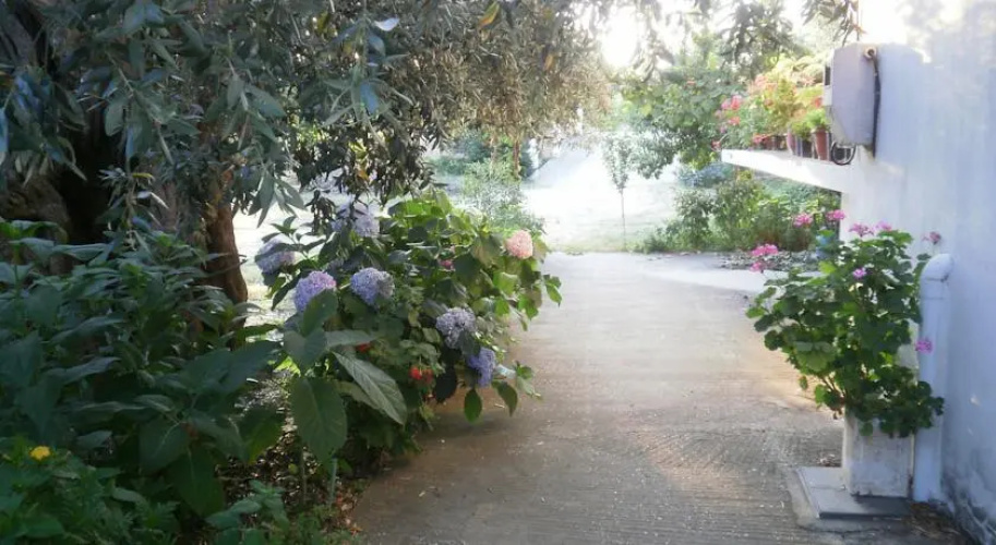 Villa Thomi