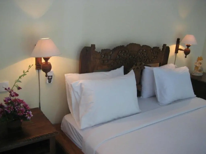 Standard Double room with balcony and with view