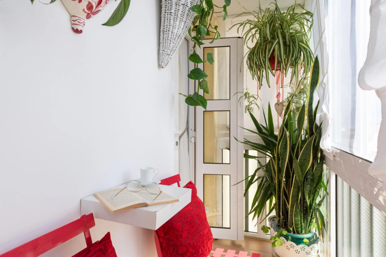 Orchidea Home