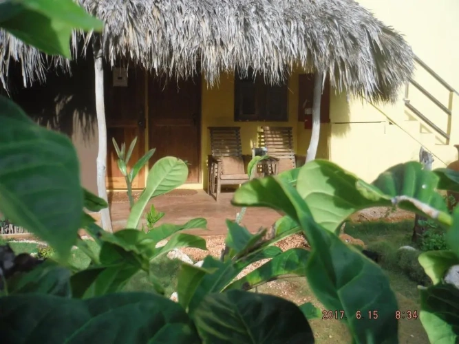 Standard Twin room with garden view