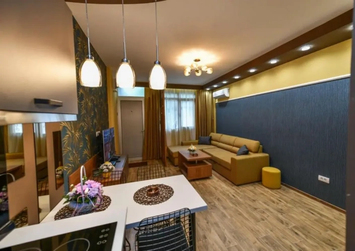 1 Bedroom Apartment