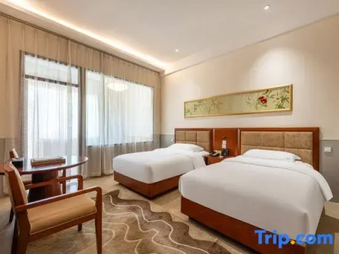 Twin Suite