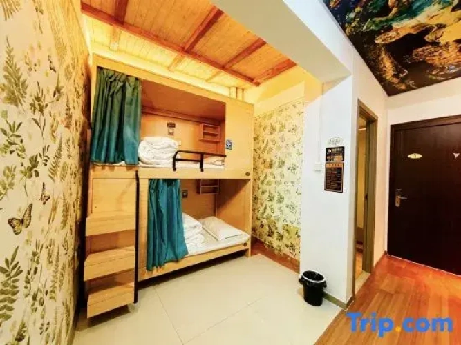 Bed in Dorm