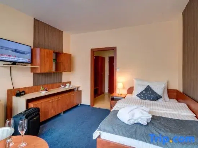 Deluxe Single room