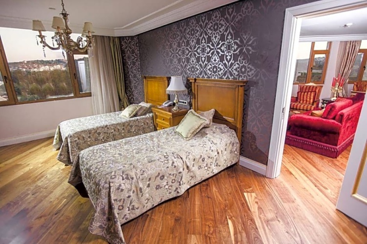 Superior Double room with balcony and with view