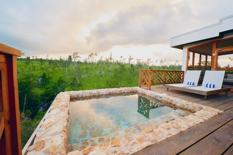 Standard Double room with view