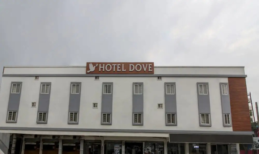 Treebo Trend Dove