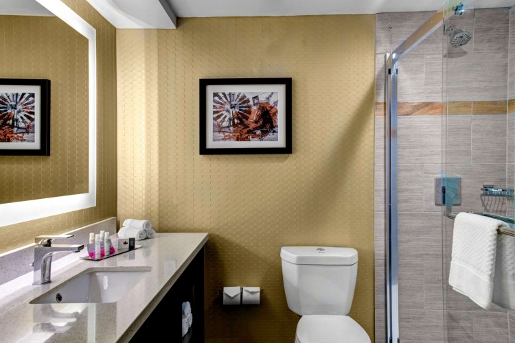 DoubleTree by Hilton Hotel Arlington DFW South photo 9