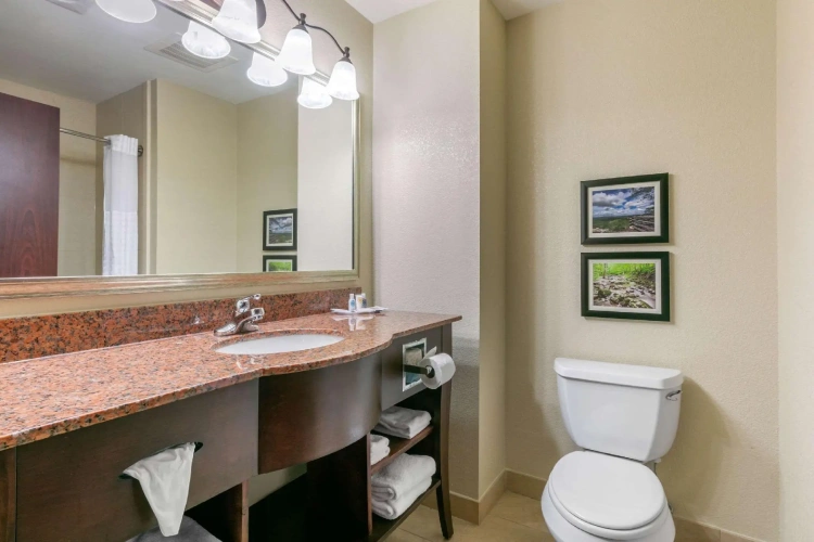 1 Bedroom Suite
