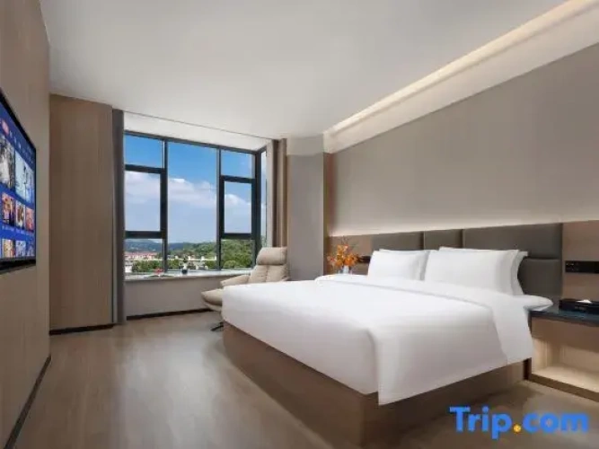 1 Bedroom Premium Suite
