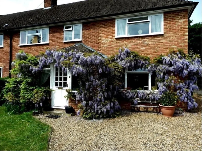 Standard Double room with garden view