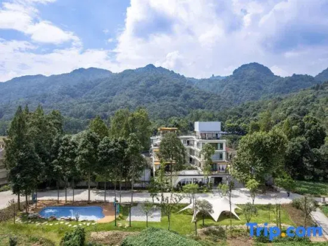 Xinghan's Date Homestay
