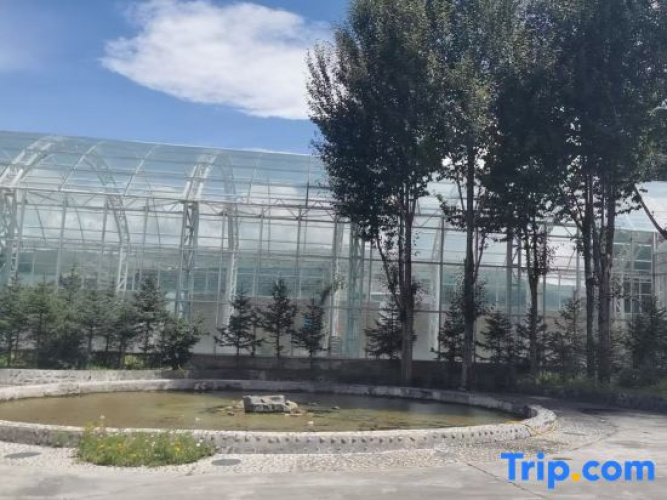 Lia Daocheng Resort