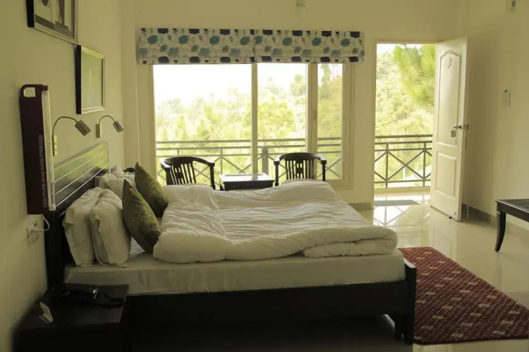 Maple Resort Chail