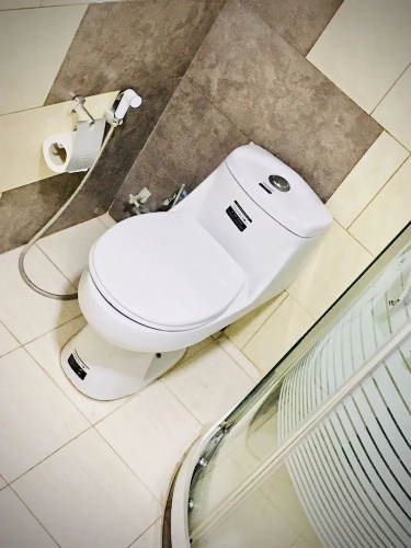 Al Mansi hotel
