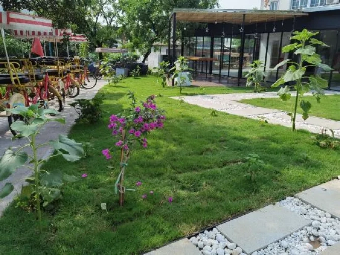 Outside