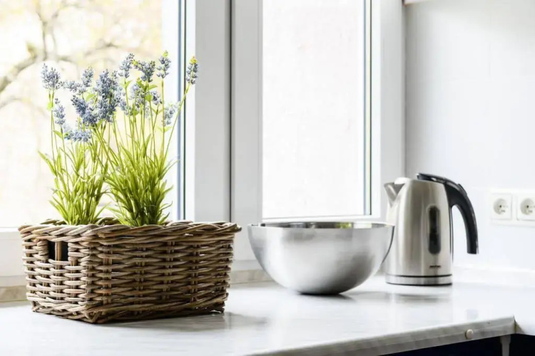 Apartament Senatorska