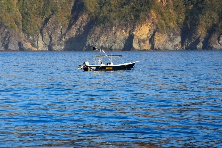 La Quinta Gran Bahía, Cuastecomates photo 29