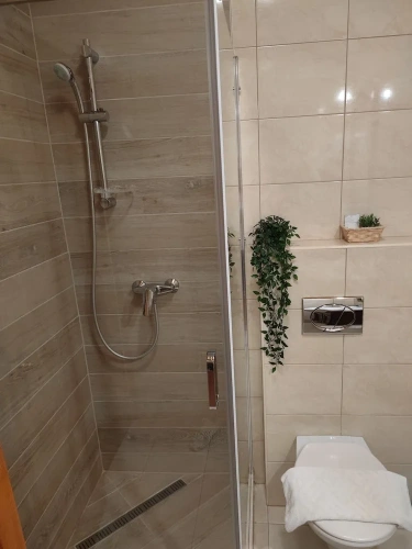Standard Double room with courtyard view