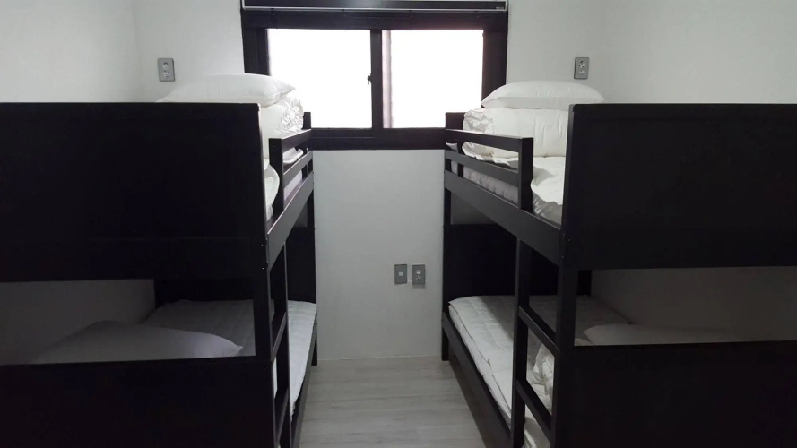 Amazon Guesthouse - Hostel
