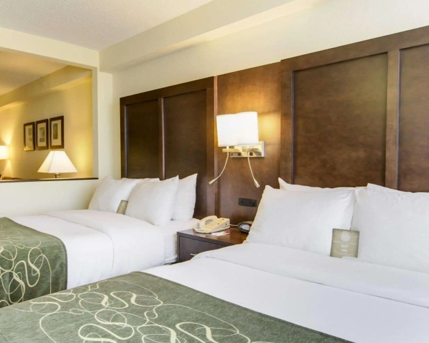 Quadruple Suite