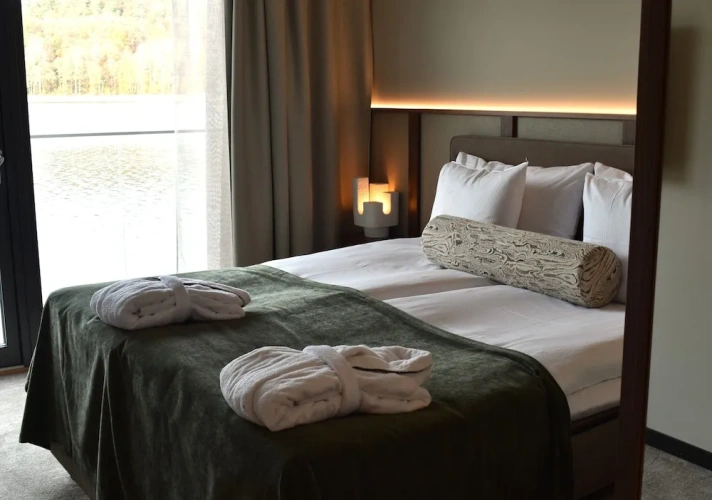 Standard Double room with balcony and with lake view