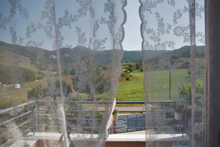 Casa Verde Houses
