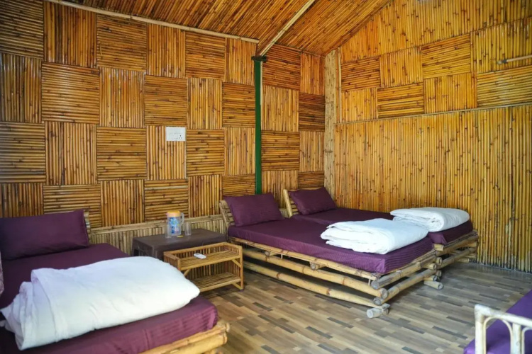 Cradle Of Life Camp