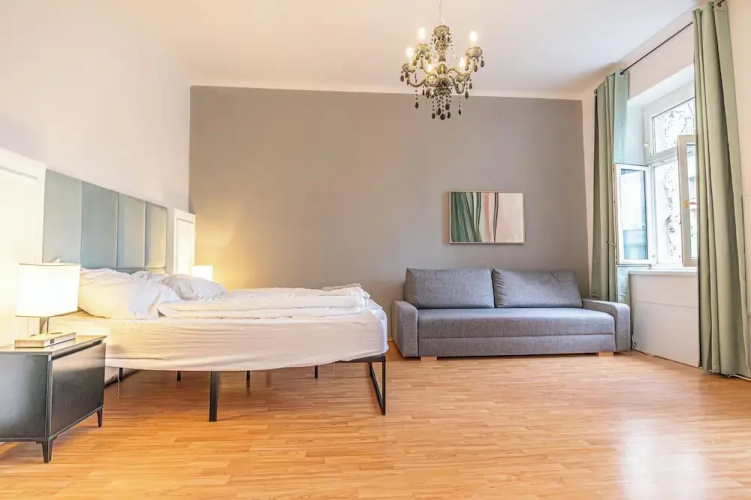 Luxury Flat with Access to Danube
