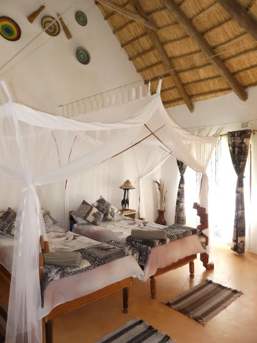 Wild Dogs Lodge