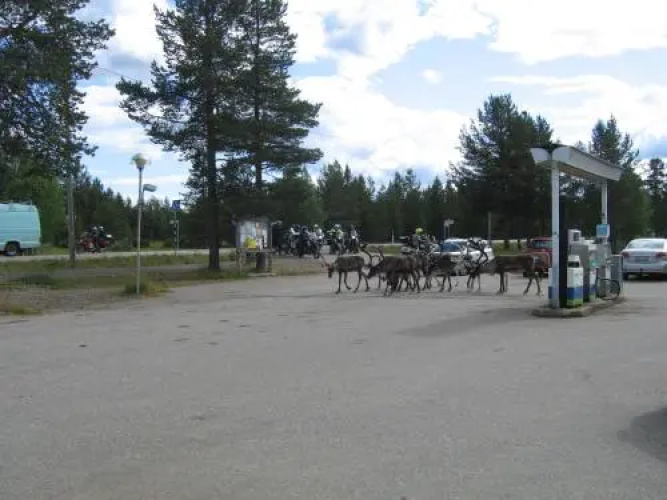 Ranta Äärelä