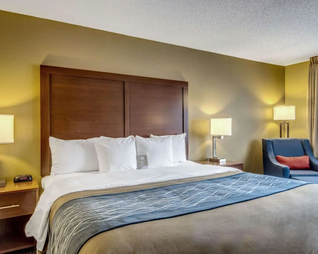 Standard Double room